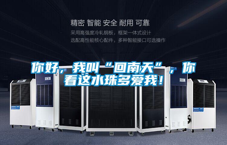 你好，我叫“回南天”，你看這水珠多愛我！