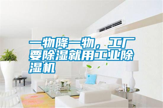一物降一物，工廠要除濕就用工業(yè)除濕機(jī)