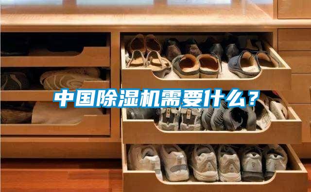 中國除濕機需要什么?