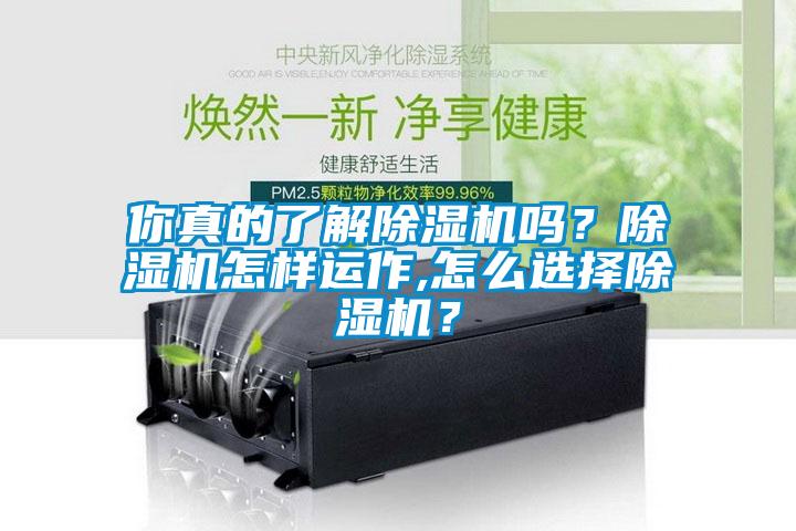 你真的了解除濕機嗎？除濕機怎樣運作,怎么選擇除濕機？
