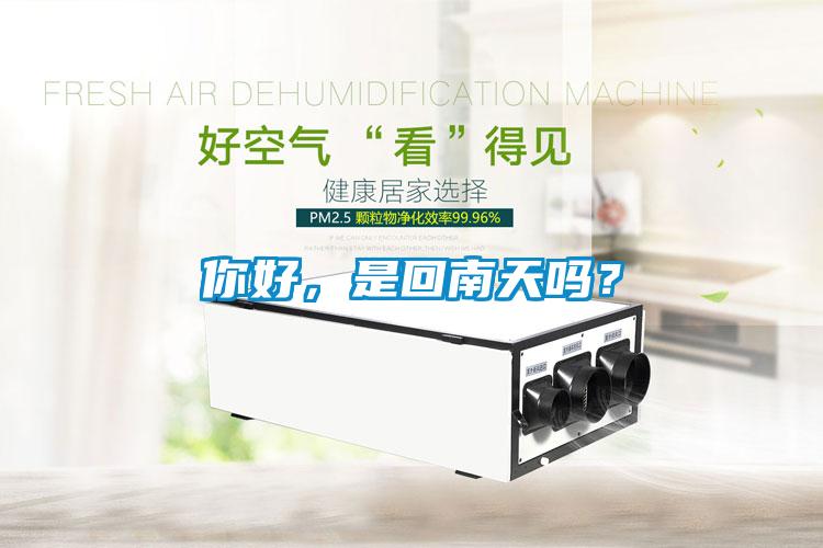你好，是回南天嗎？