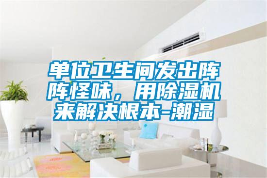 單位衛(wèi)生間發(fā)出陣陣怪味，用除濕機(jī)來(lái)解決根本-潮濕