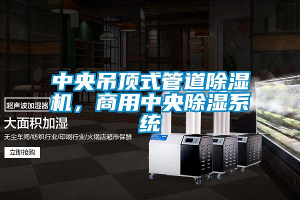 中央吊頂式管道除濕機(jī)，商用中央除濕系統(tǒng)