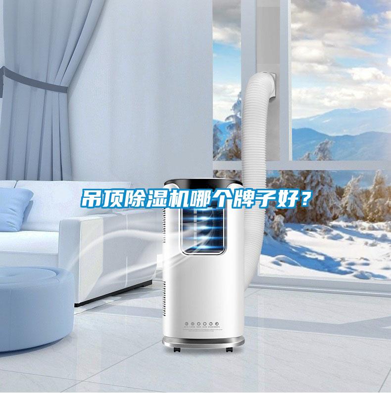 吊頂除濕機哪個牌子好？