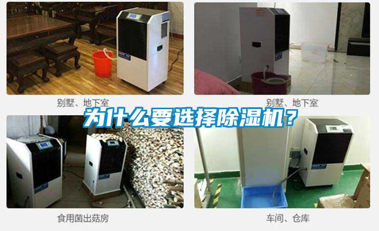 為什么要選擇除濕機？