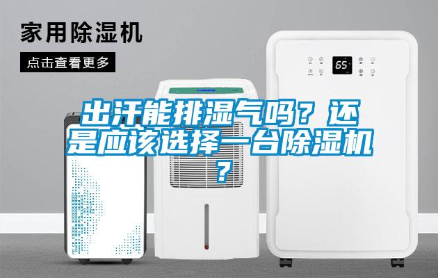 出汗能排濕氣嗎？還是應該選擇一臺除濕機？