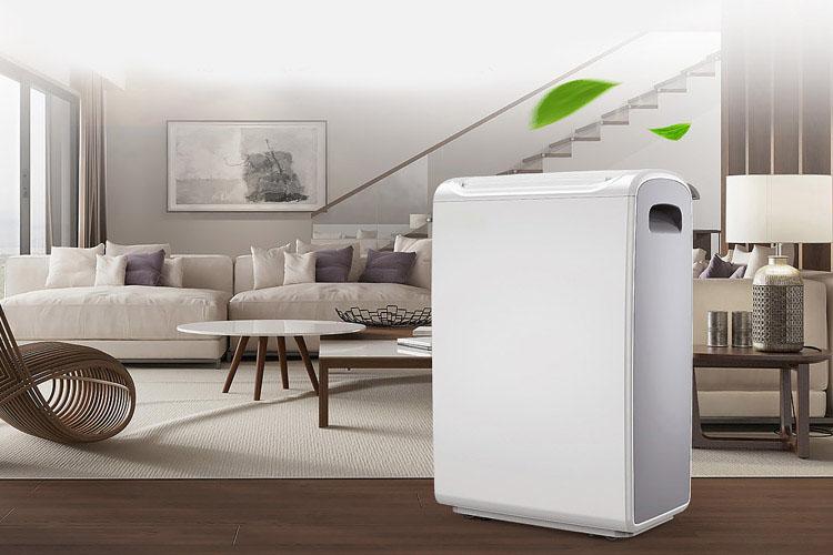 別吃了潮濕環境的虧，除濕機正確開啟方式