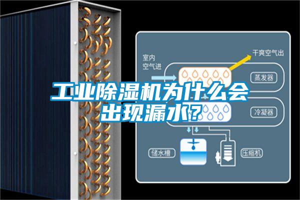 工業(yè)除濕機為什么會出現(xiàn)漏水？