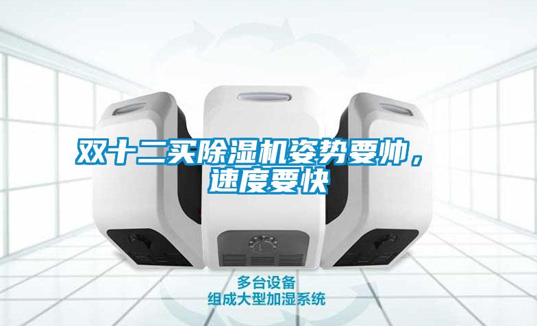 雙十二買除濕機姿勢要帥， 速度要快