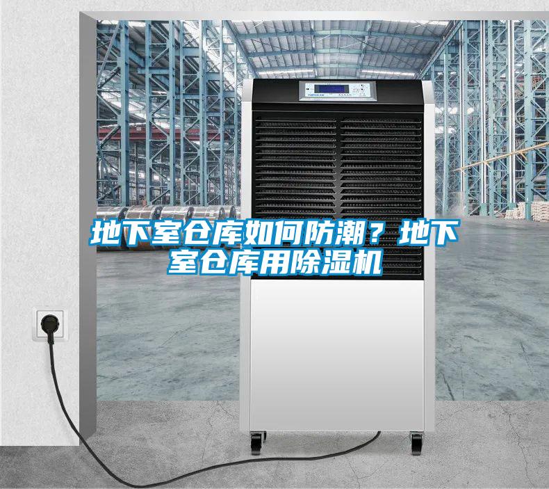地下室倉庫如何防潮？地下室倉庫用除濕機