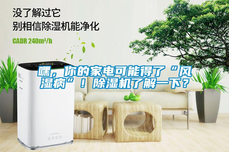 嘿，你的家電可能得了“風濕病”！除濕機了解一下？