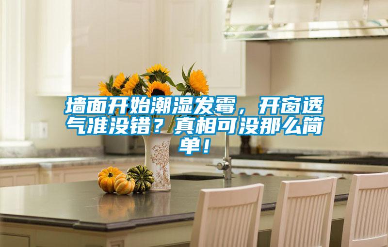 墻面開始潮濕發霉，開窗透氣準沒錯？真相可沒那么簡單！