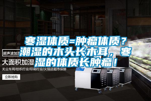 寒濕體質=腫瘤體質？潮濕的木頭長木耳，寒濕的體質長腫瘤！