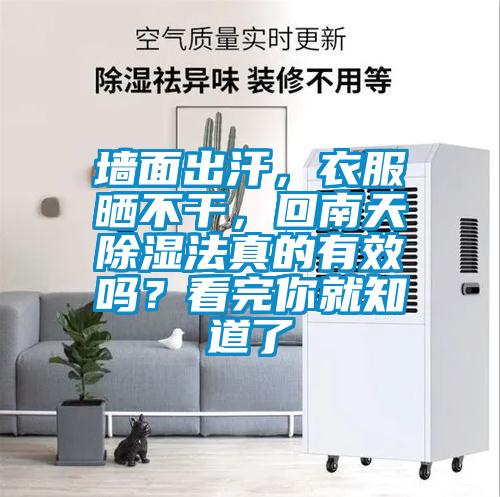 墻面出汗，衣服曬不干，回南天除濕法真的有效嗎？看完你就知道了
