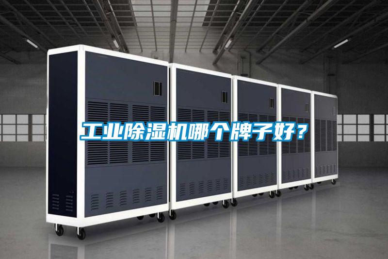 工業除濕機哪個牌子好？