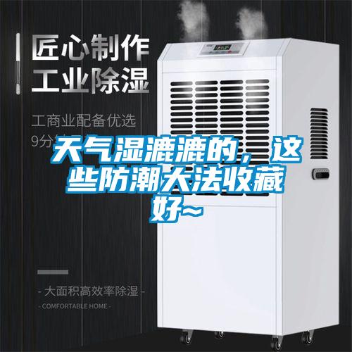 天氣濕漉漉的，這些防潮大法收藏好~