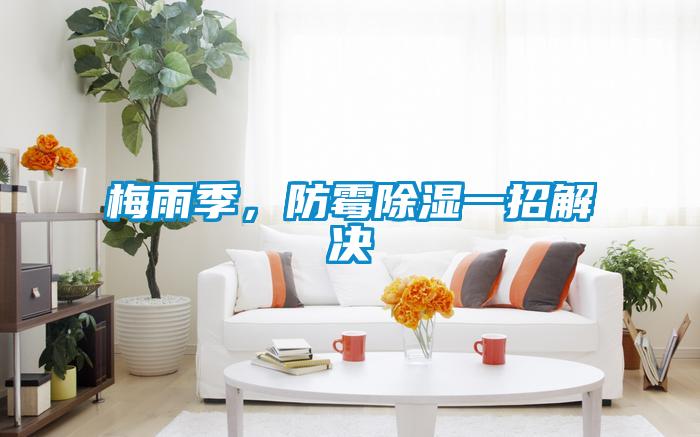 梅雨季，防霉除濕一招解決