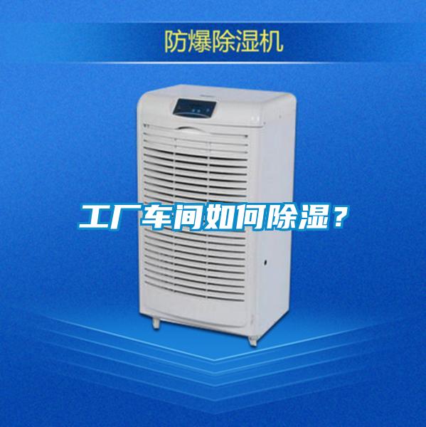 工廠車(chē)間如何除濕?