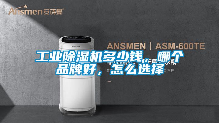 工業(yè)除濕機(jī)多少錢(qián)，哪個(gè)品牌好，怎么選擇