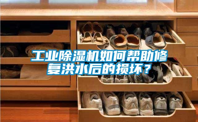 工業(yè)除濕機(jī)如何幫助修復(fù)洪水后的損壞？