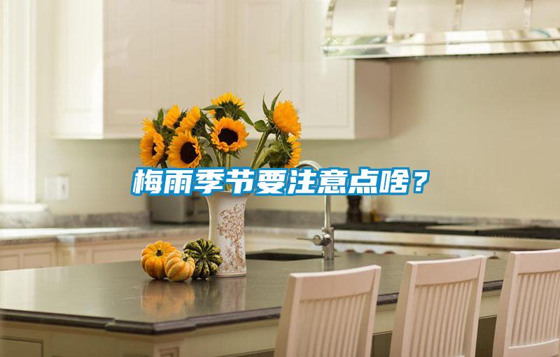 梅雨季節要注意點啥？