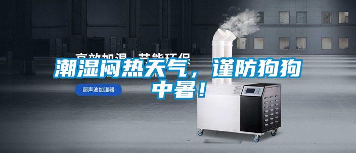潮濕悶熱天氣，謹(jǐn)防狗狗中暑！