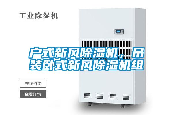 戶式新風(fēng)除濕機，吊裝臥式新風(fēng)除濕機組