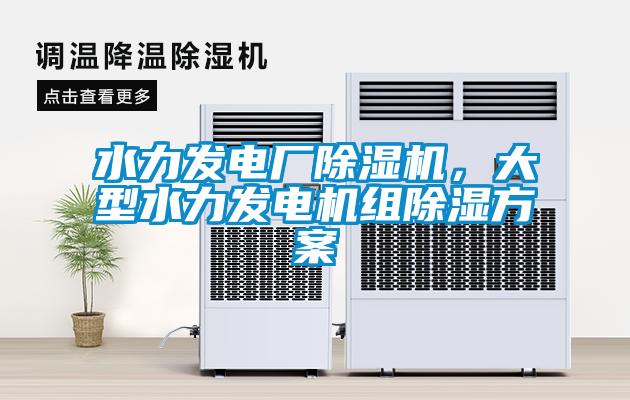 水力發電廠除濕機，大型水力發電機組除濕方案