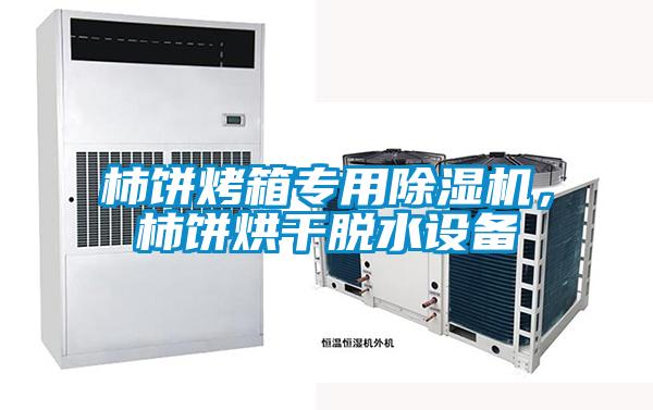 柿餅烤箱專用除濕機，柿餅烘干脫水設備