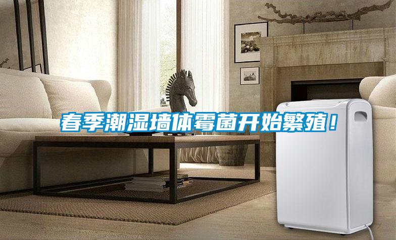 春季潮濕墻體霉菌開始繁殖！