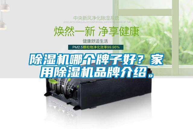 除濕機哪個牌子好？家用除濕機品牌介紹。
