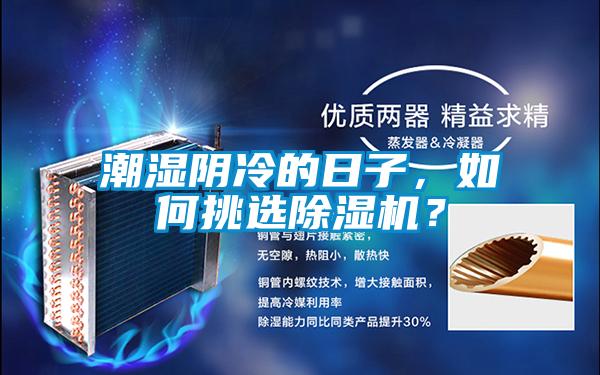 潮濕陰冷的日子，如何挑選除濕機？