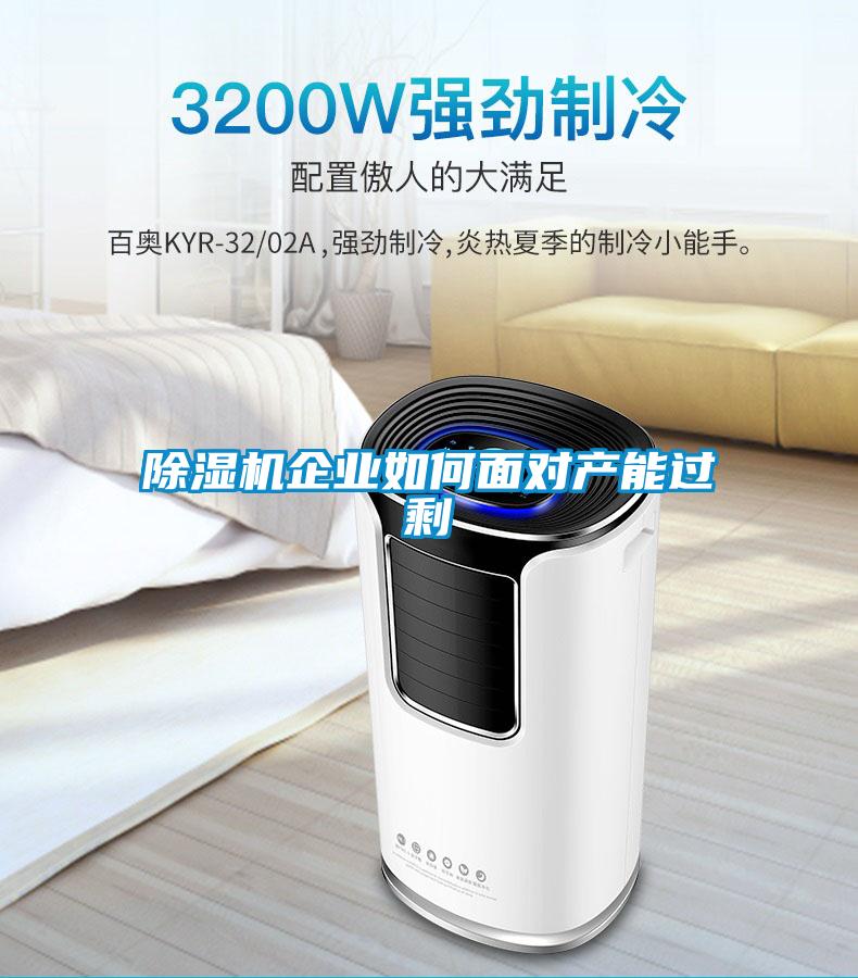 除濕機(jī)企業(yè)如何面對(duì)產(chǎn)能過剩