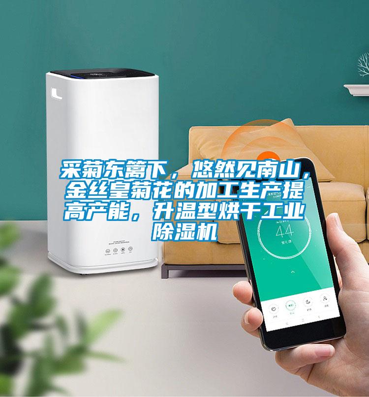 采菊東籬下，悠然見南山，金絲皇菊花的加工生產提高產能，升溫型烘干工業除濕機
