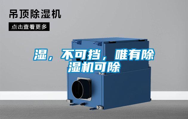 濕,不可擋,唯有除濕機可除