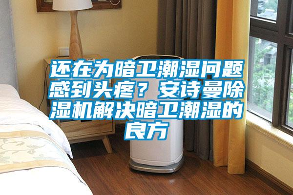 還在為暗衛(wèi)潮濕問(wèn)題感到頭疼？安詩(shī)曼除濕機(jī)解決暗衛(wèi)潮濕的良方
