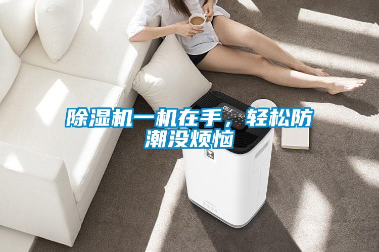 除濕機一機在手，輕松防潮沒煩惱