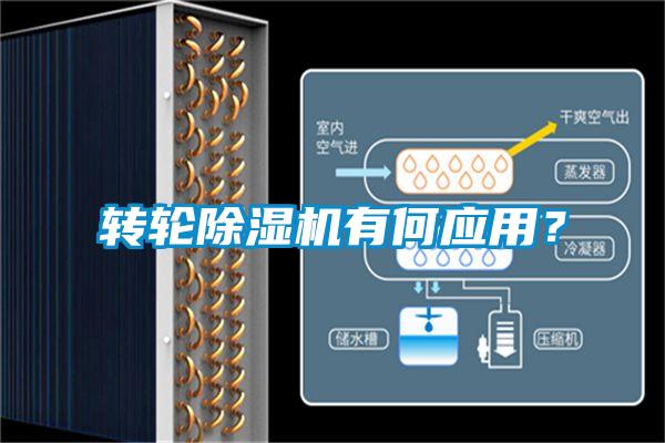 轉(zhuǎn)輪除濕機有何應用？