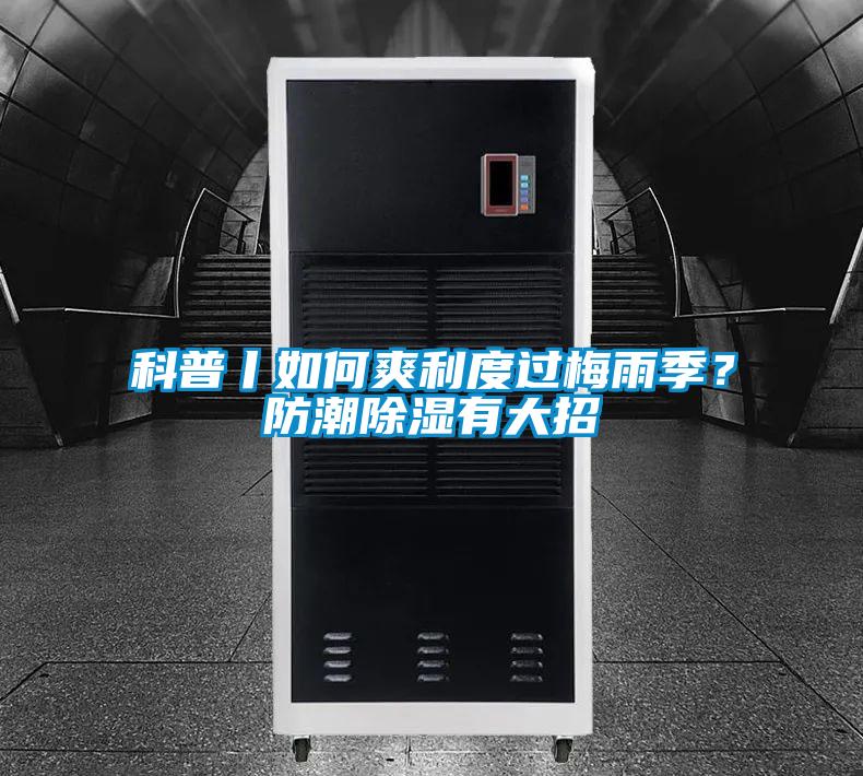 科普丨如何爽利度過梅雨季？防潮除濕有大招