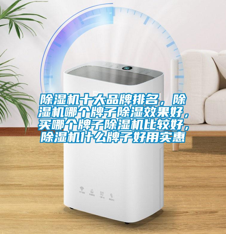 除濕機(jī)十大品牌排名，除濕機(jī)哪個(gè)牌子除濕效果好，買哪個(gè)牌子除濕機(jī)比較好，除濕機(jī)什么牌子好用實(shí)惠