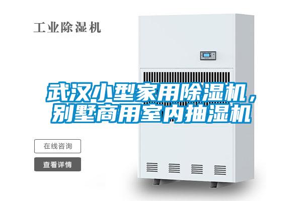 武漢小型家用除濕機，別墅商用室內抽濕機