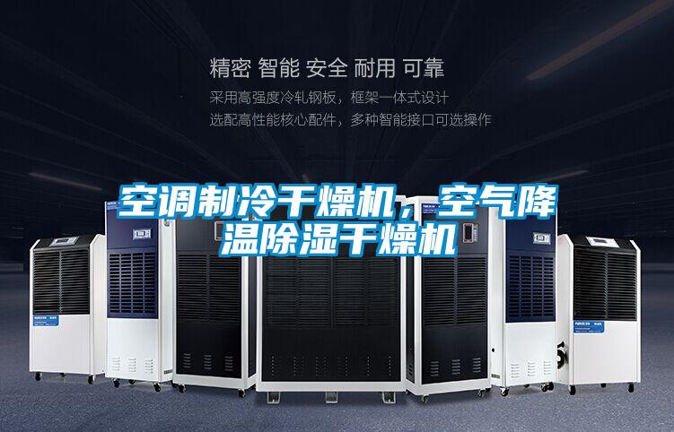 空調制冷干燥機，空氣降溫除濕干燥機