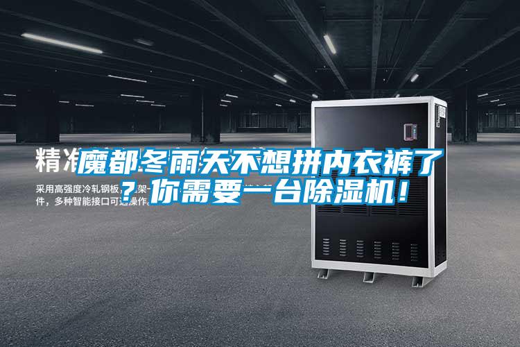 魔都冬雨天不想拼內(nèi)衣褲了？你需要一臺(tái)除濕機(jī)！