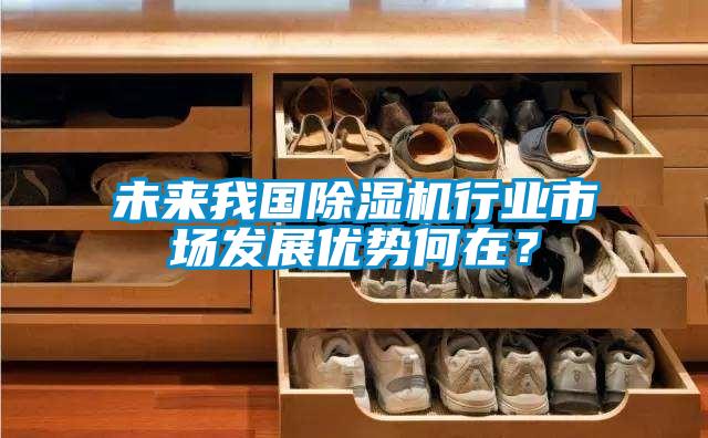 未來我國除濕機行業市場發展優勢何在？