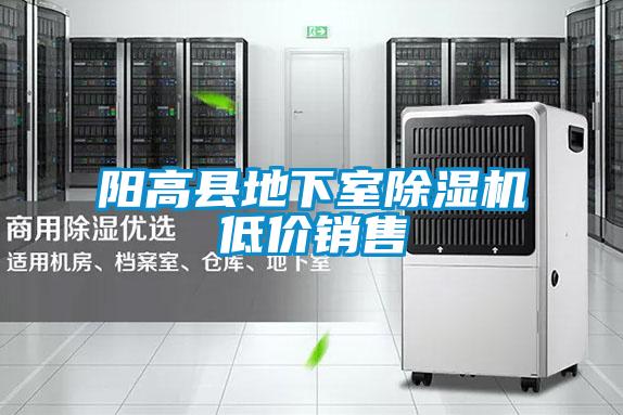 陽(yáng)高縣地下室除濕機(jī)低價(jià)銷售