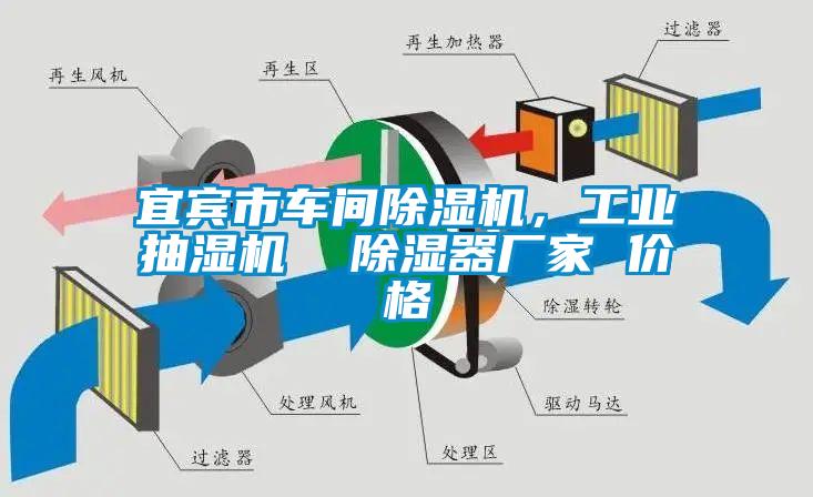 宜賓市車間除濕機，工業(yè)抽濕機  除濕器廠家 價格