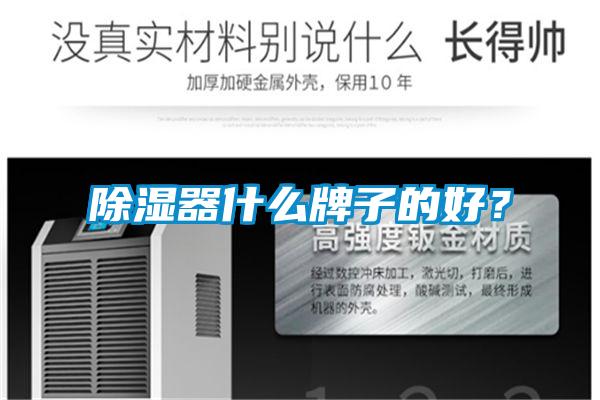 除濕器什么牌子的好？