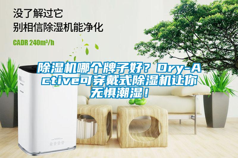 除濕機哪個牌子好？Dry-Active可穿戴式除濕機讓你無懼潮濕！