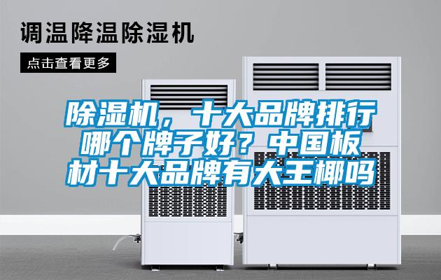 除濕機，十大品牌排行哪個牌子好？中國板材十大品牌有大王椰嗎