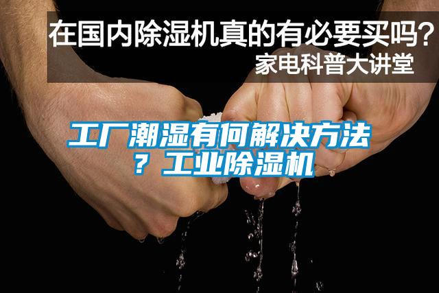工廠潮濕有何解決方法？工業(yè)除濕機